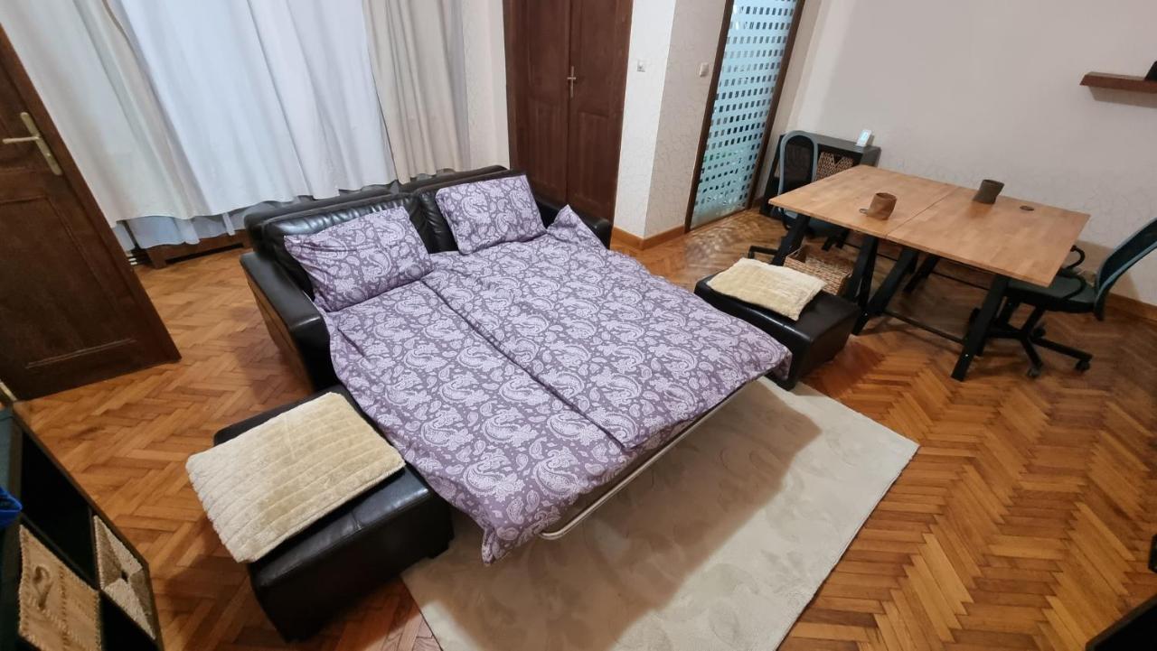 Neuhausz Suite - Ultracentral Timişoara Exterior foto